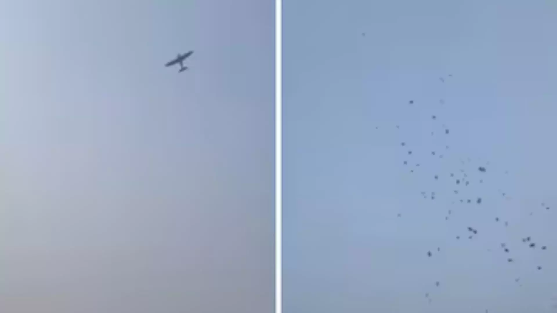 Viral Video: Pakistan Wedding Takes Extravagance to New Heights with Plane Dropping Cash | Watch