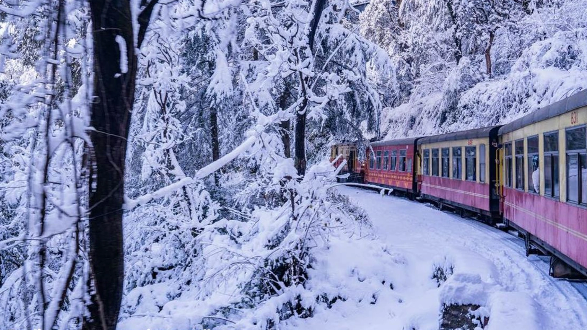 Shimla Welcomes Holiday Special Train As Tourism Soars For Christmas And New Year