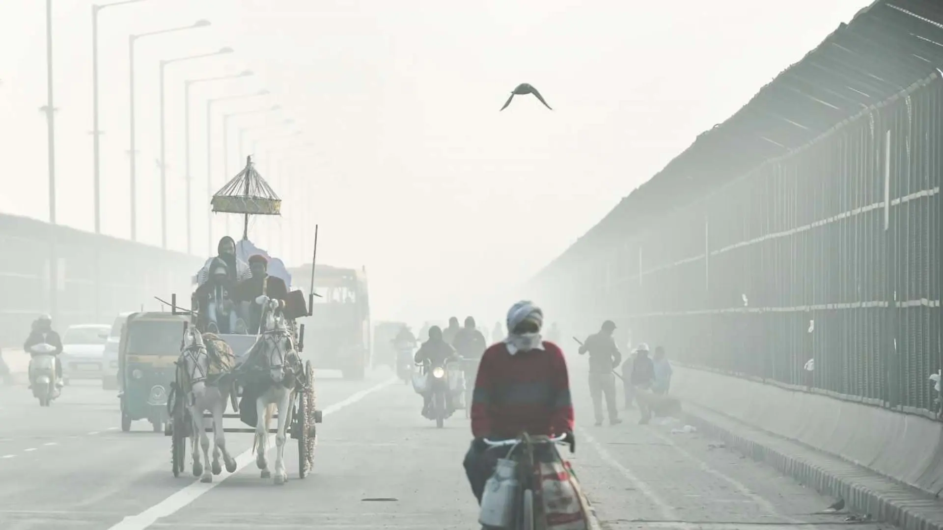 Get Ready, Delhi! IMD’s Yellow Alert Signals Severe Fog And Cold Wave Starting Today!