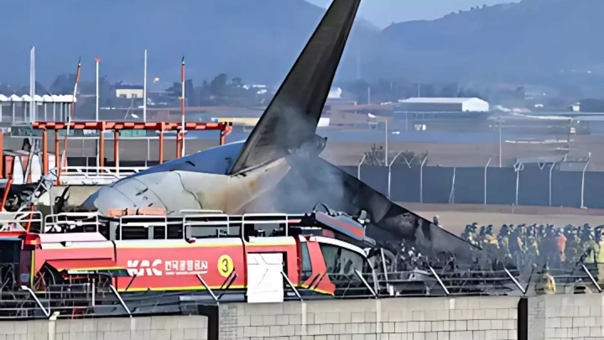 South Korea Plane Crash: 181 on Board, Bird Strike and Bad Weather Suspected as Causes