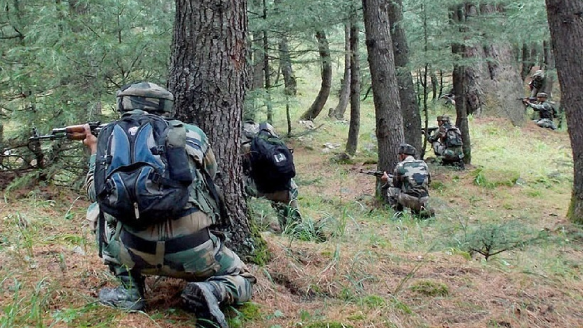 Terrorist Killed In Dachigam Forest Operation In Srinagar, Search Continues