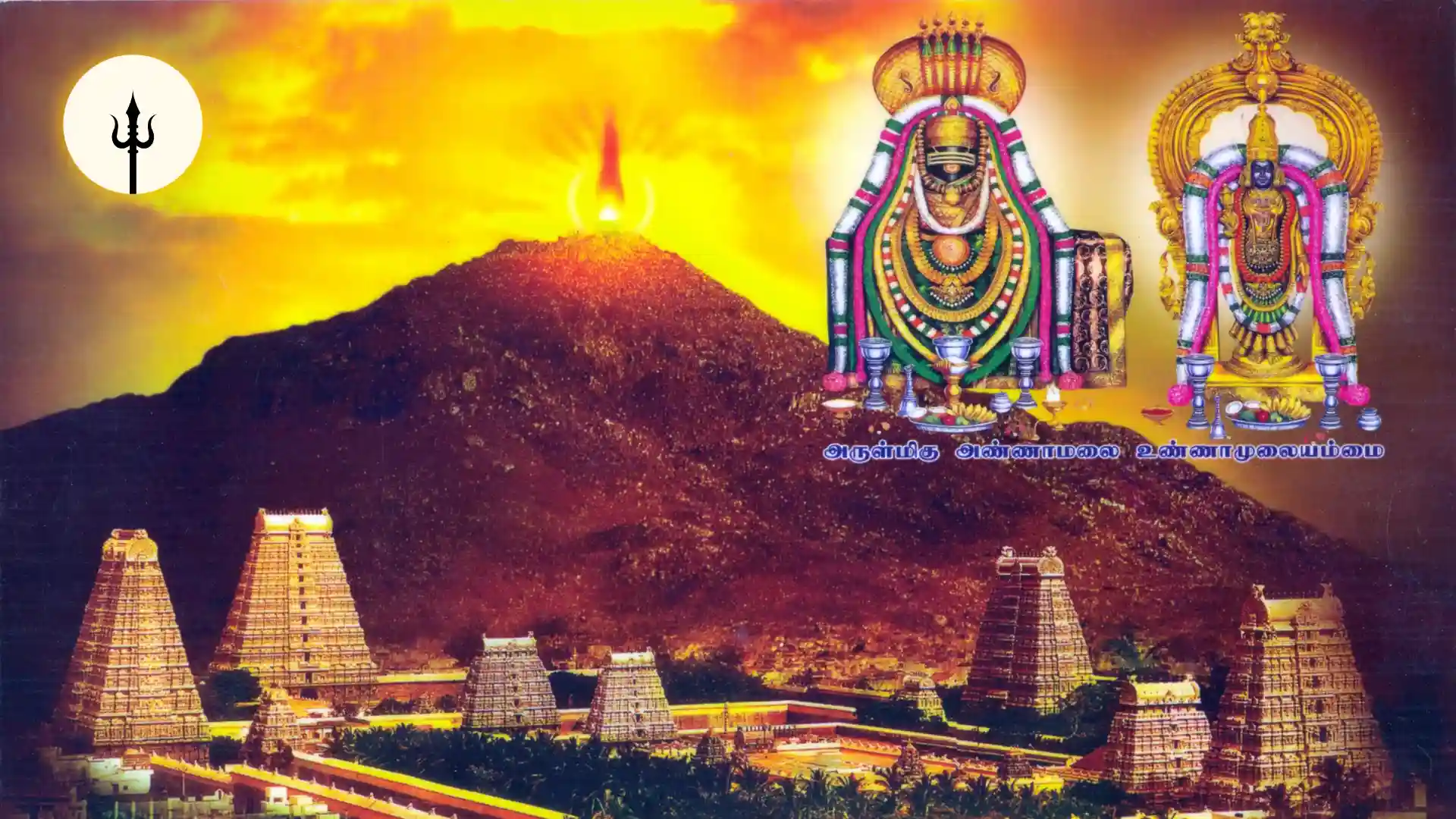 Tiruvannamalai Karthigai Deepam Festival 2024: Maha Deepam Ceremony Draws Millions Of Devotees | WATCH