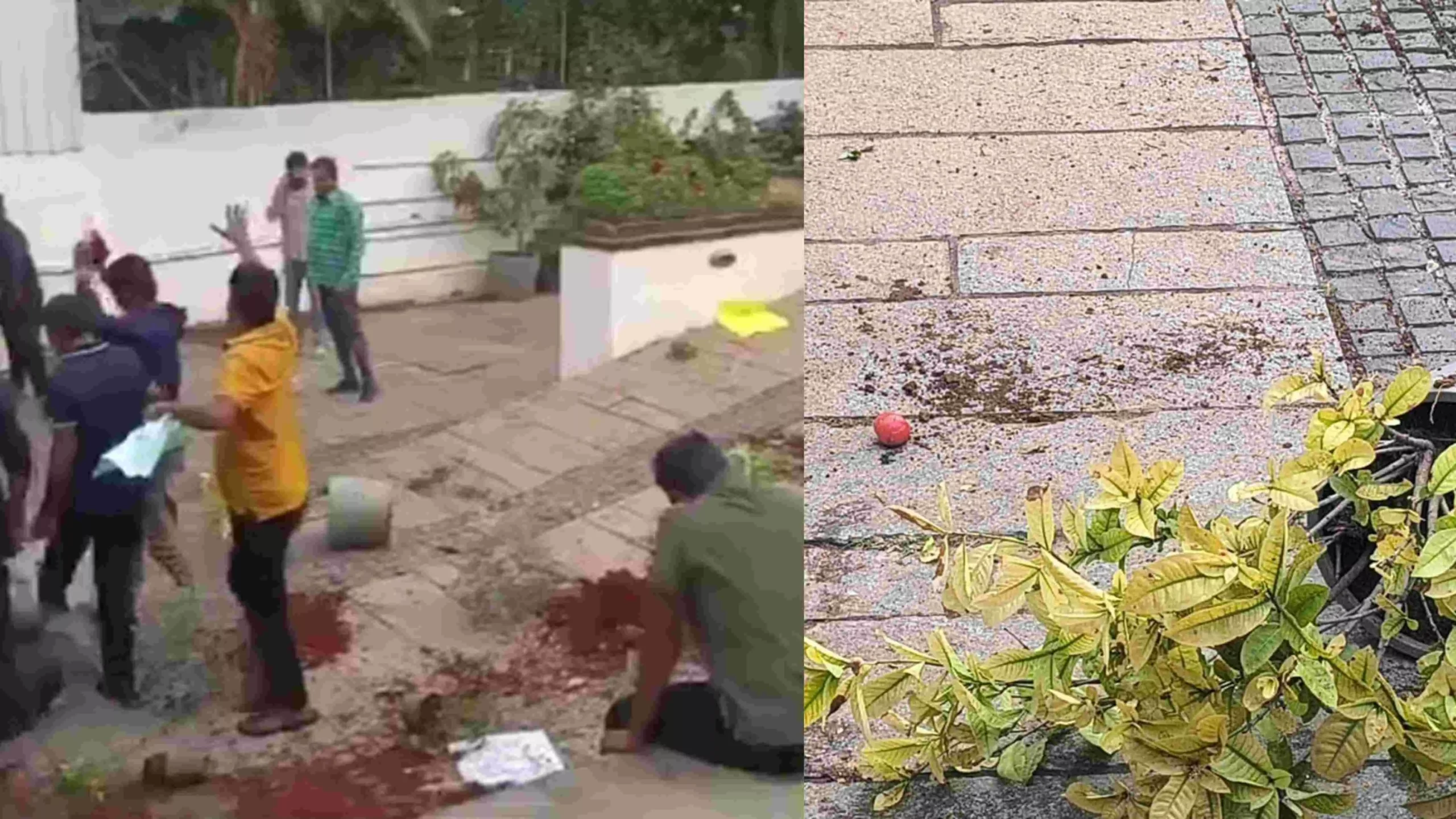 WATCH | Tomatoes Thrown, Protest Outside Allu Arjun’s Home Over Pushpa 2 Tragedy