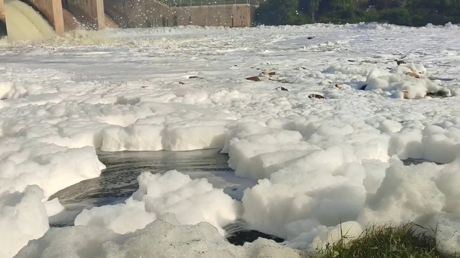 NGT Cracks Down On Toxic Foam In Tamil Nadu River, Issues Notices