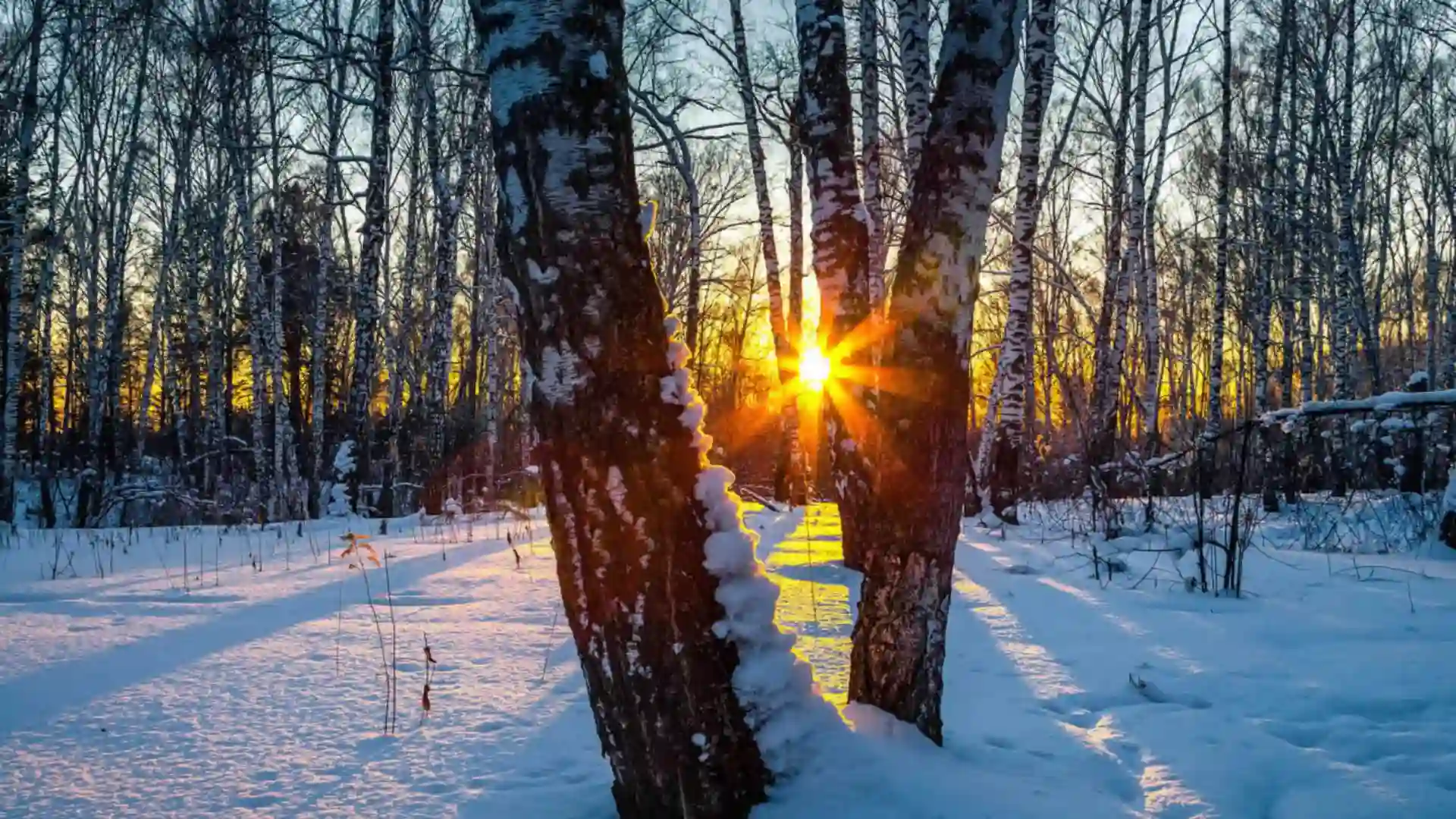 What Is The Winter Solstice And When Does It Happen?