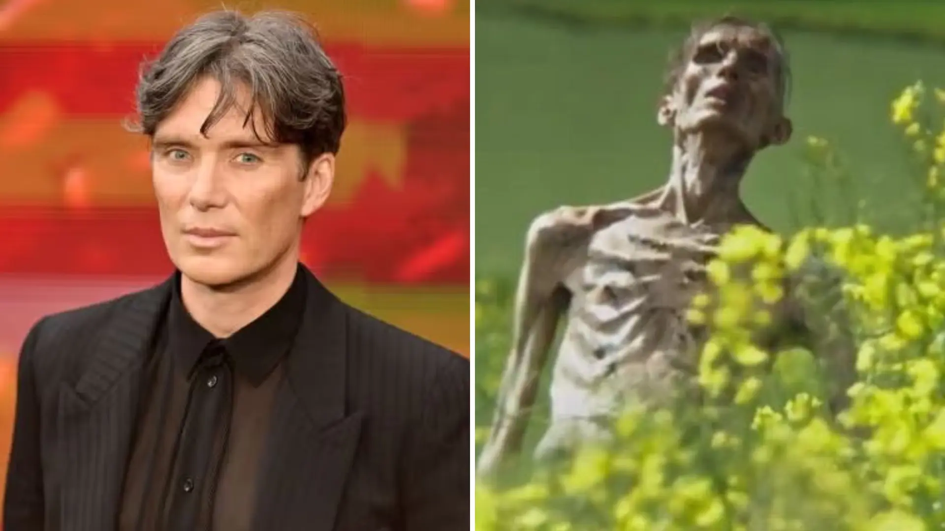 How Did Cillian Murphy Drastically Lose Weight For 28 Days Later? Actor’s SECRET Diet Revealed