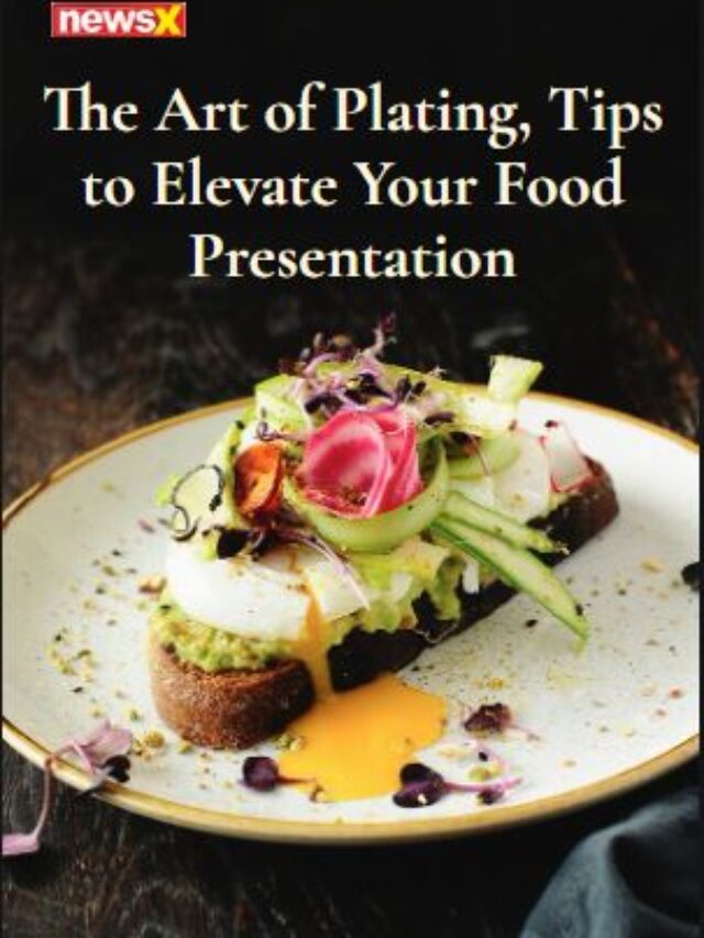 The Art Of Plating, Tips To Elevate Your Food Presentation