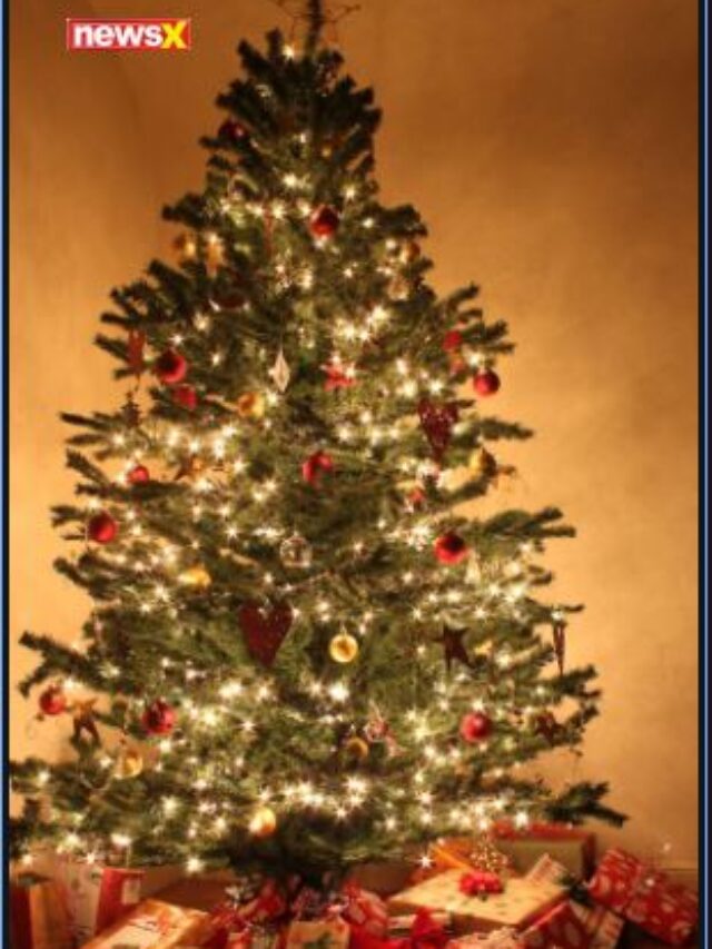 Top Christmas Tree Trends For 2024