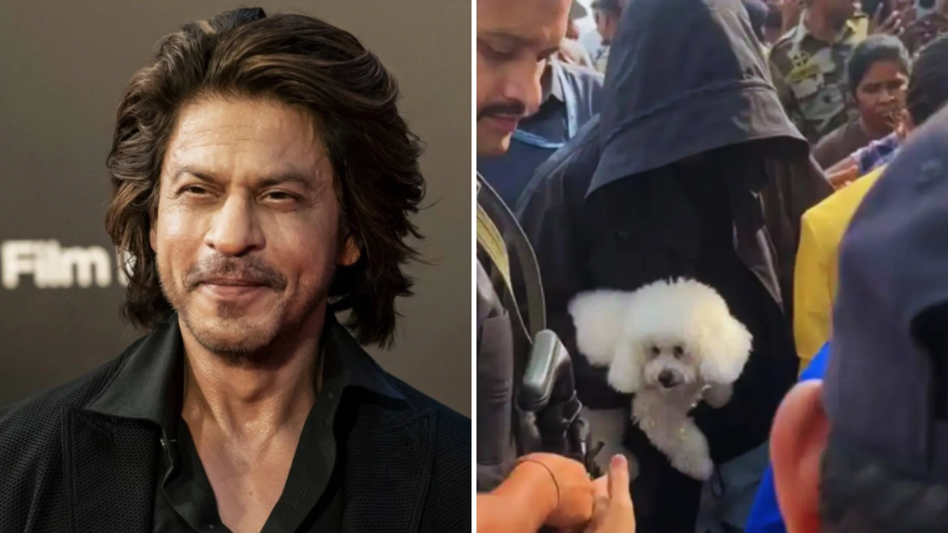 What Breed Is Shah Rukh Khan’s New Pet? King Khan Spotted With An Adorable Small Pup While Hiding Face With A Hoodie