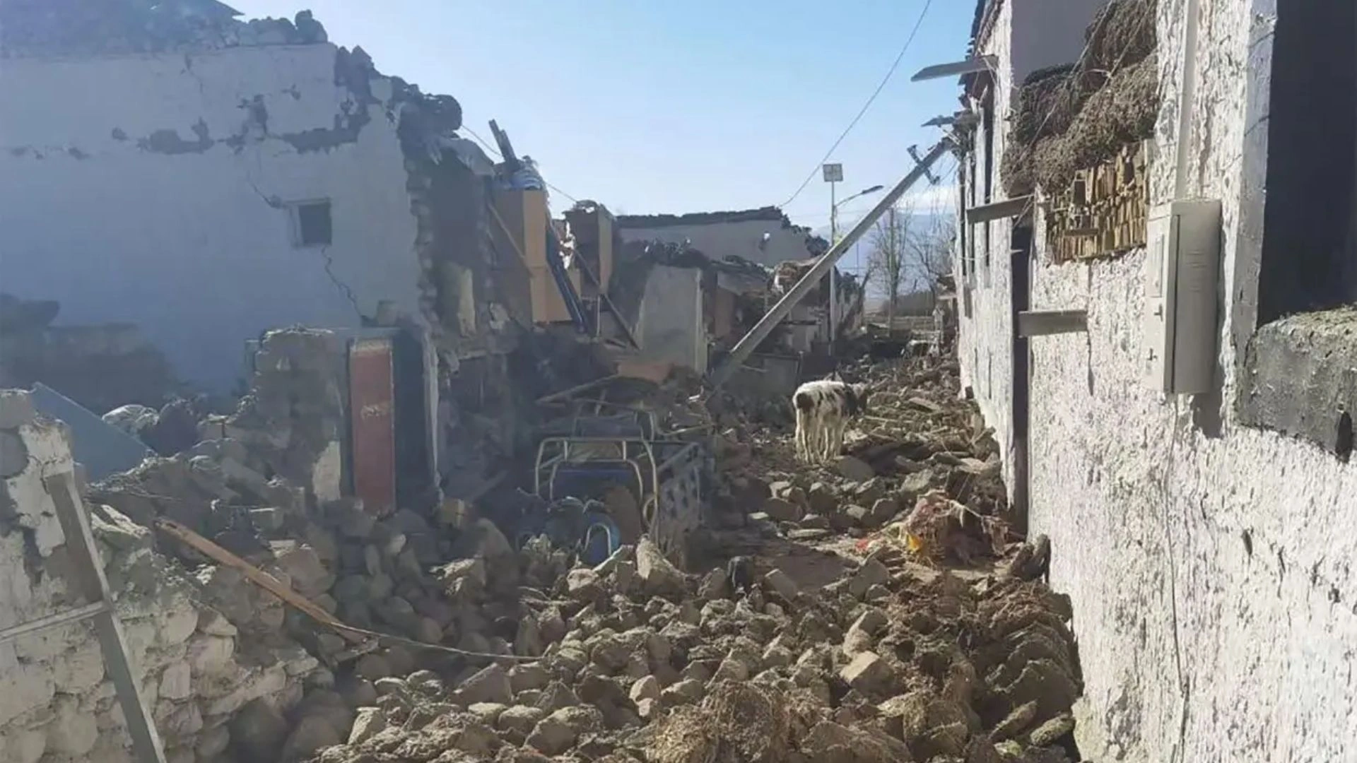 Explained: What Led To The Massive Earthquake In Tibet, Killing 95 Today?