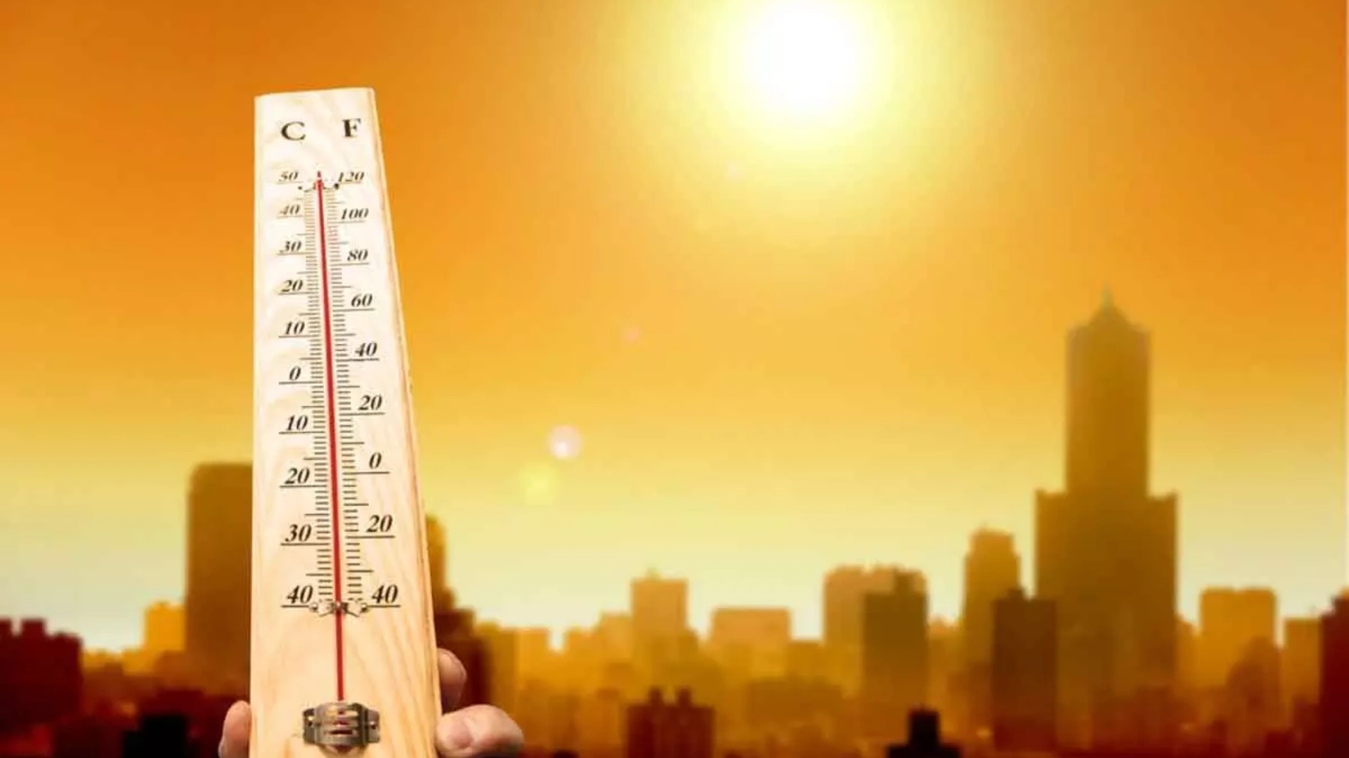 2024 Becomes Hottest Year On Record In India, Breaking 2016’s Record