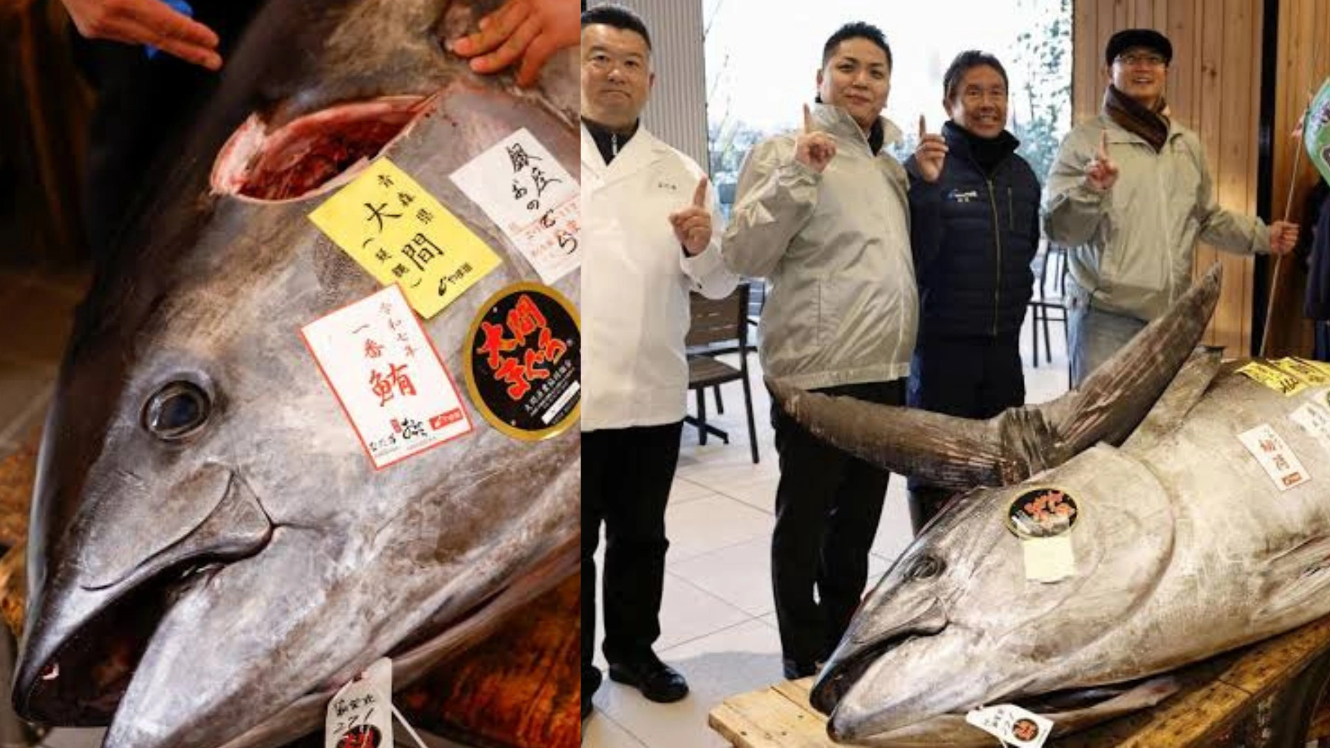 Tokyo Restaurateurs Pay $1.3 Million For Bluefin Tuna As Big As ‘Motorbike’ At New Year Auction