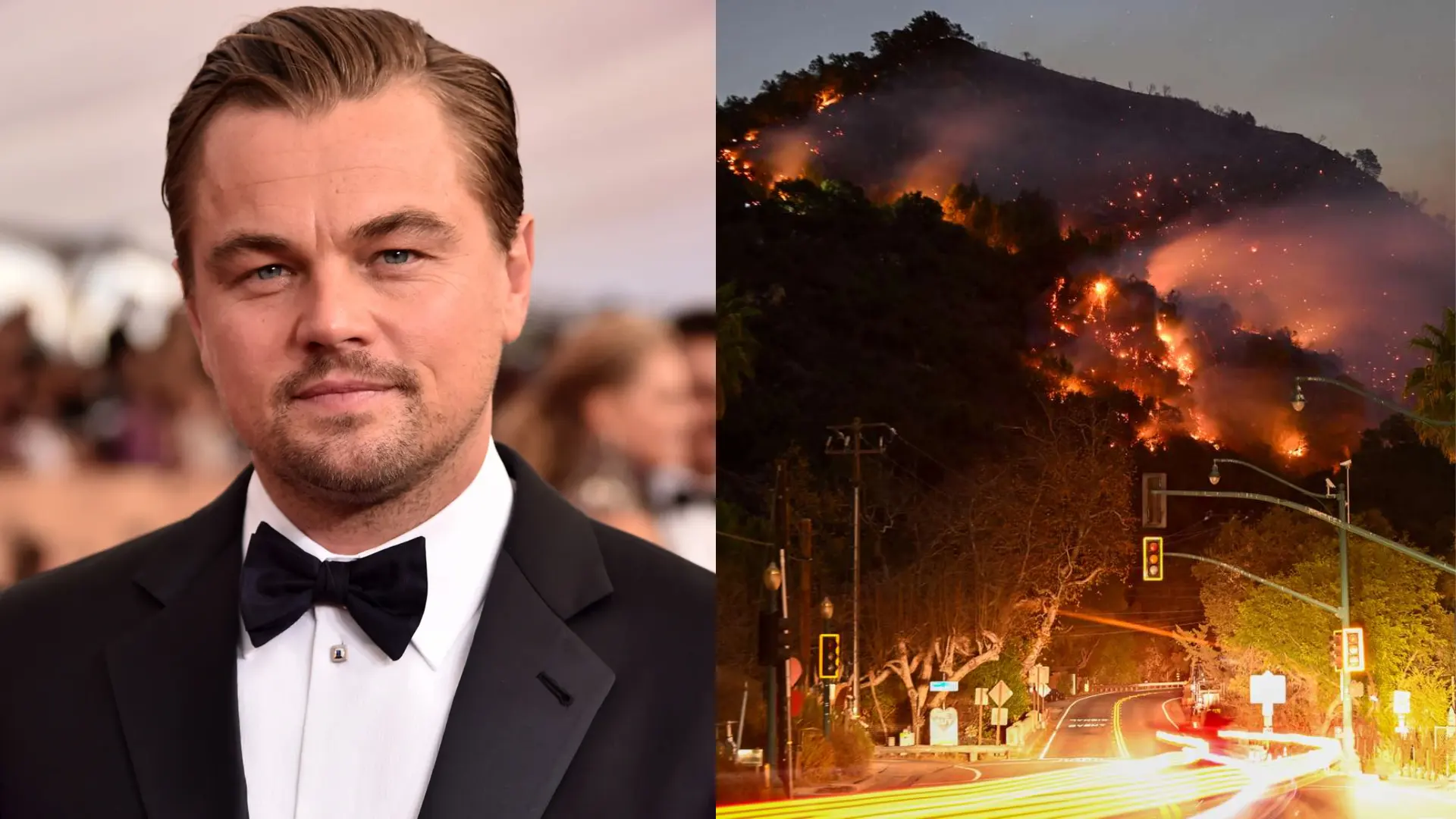 Leonardo DiCaprio Pledges $1 Million For LA Wildfire Relief Amid Crisis