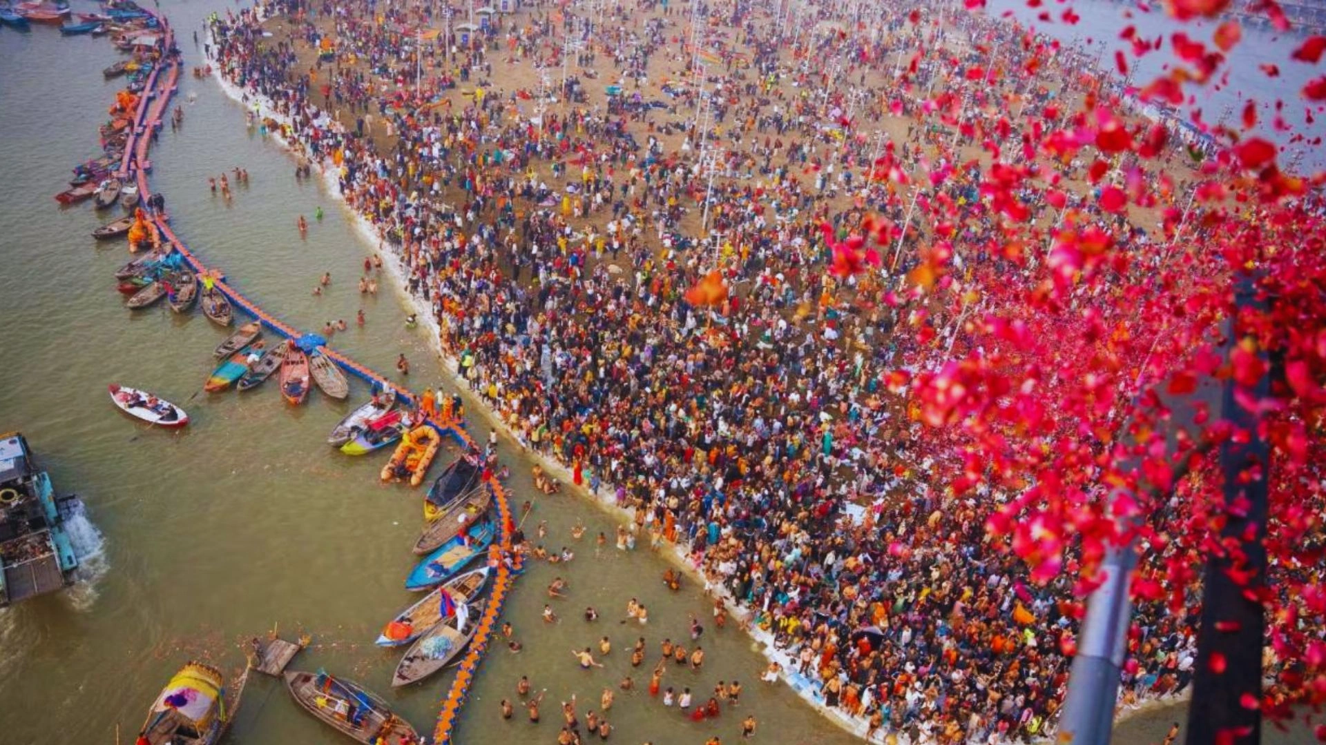 Maha Kumbh: Helicopter Shower Of Rose Petals Elevates The Amrit Snan Ceremony