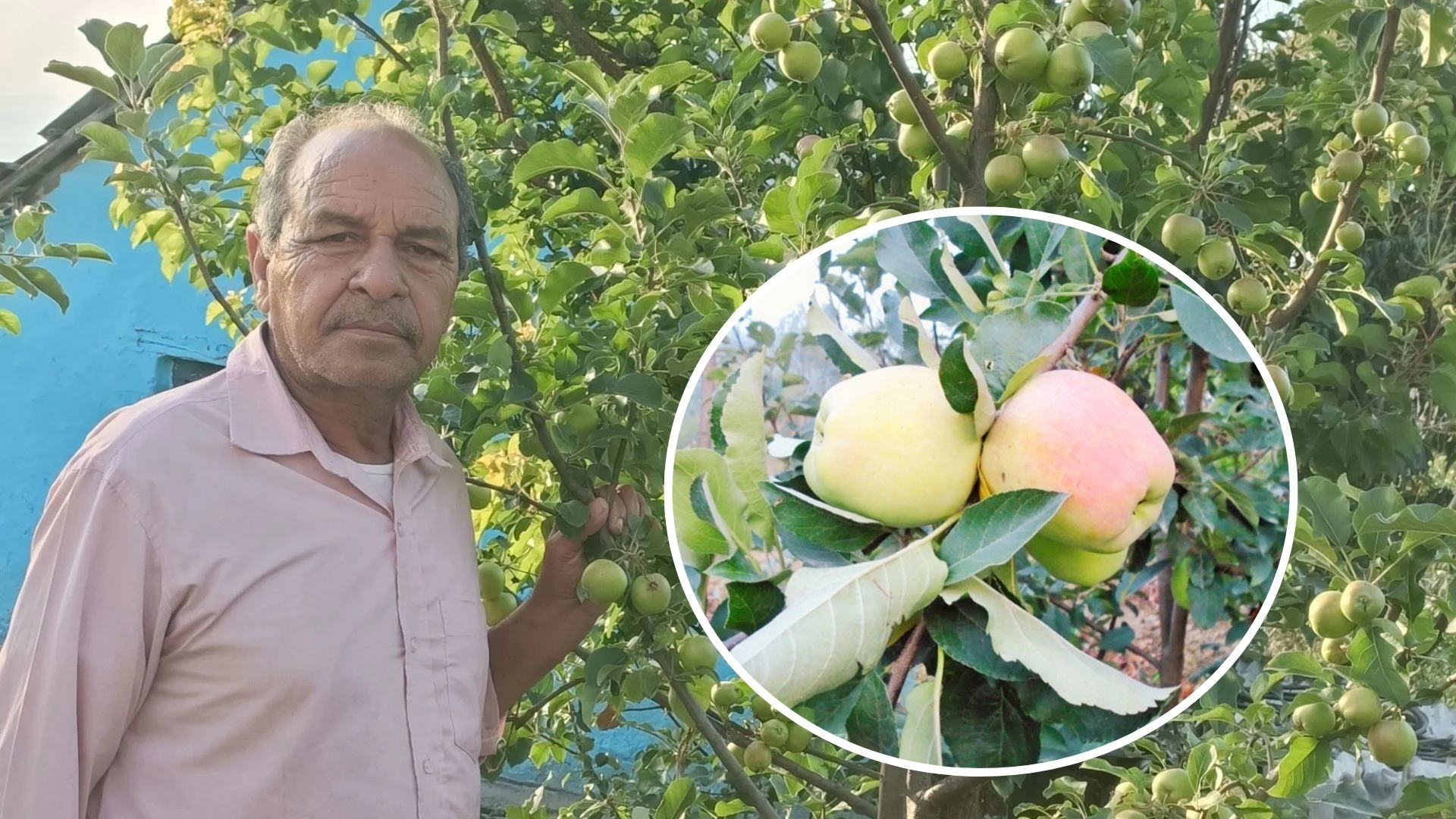 Meet Hariman Sharma, Himachal’s ‘Apple Emperor’ Honored With Padma Shri