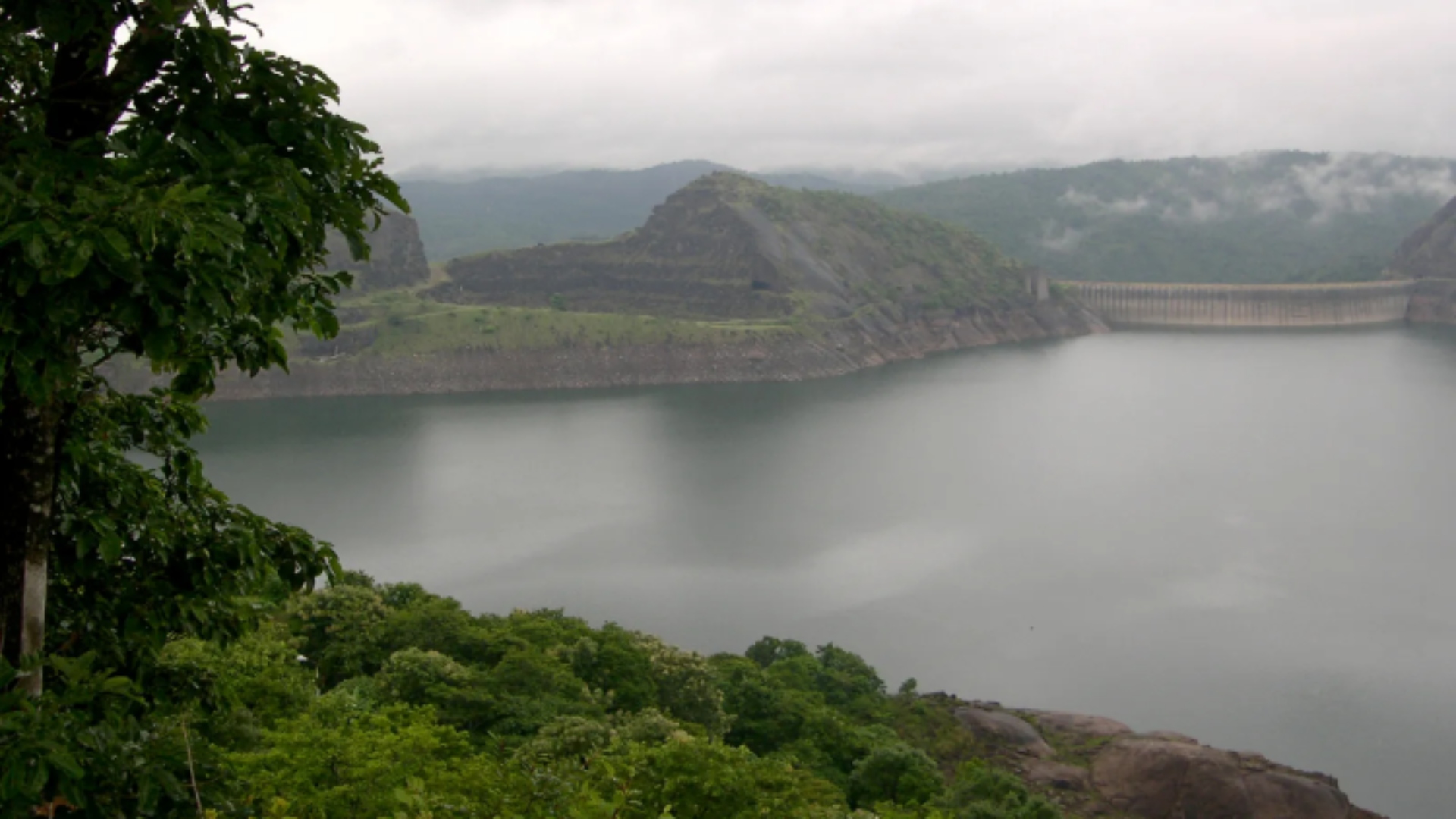 “Officials Responsible If Periyar River Gets Polluted”: Kerala HC