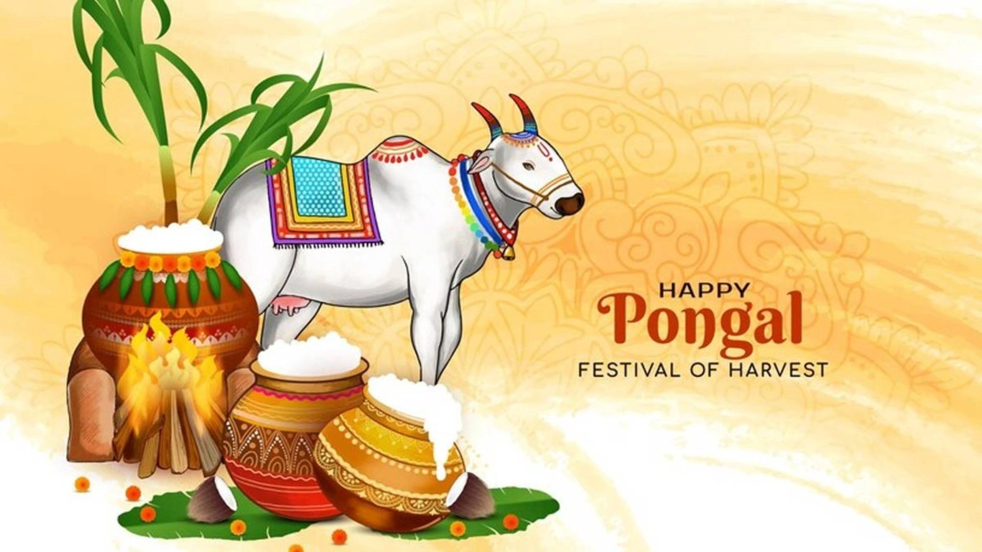 Pongal 2025: Dates, Significance, And Traditions Of The Harvest Festival