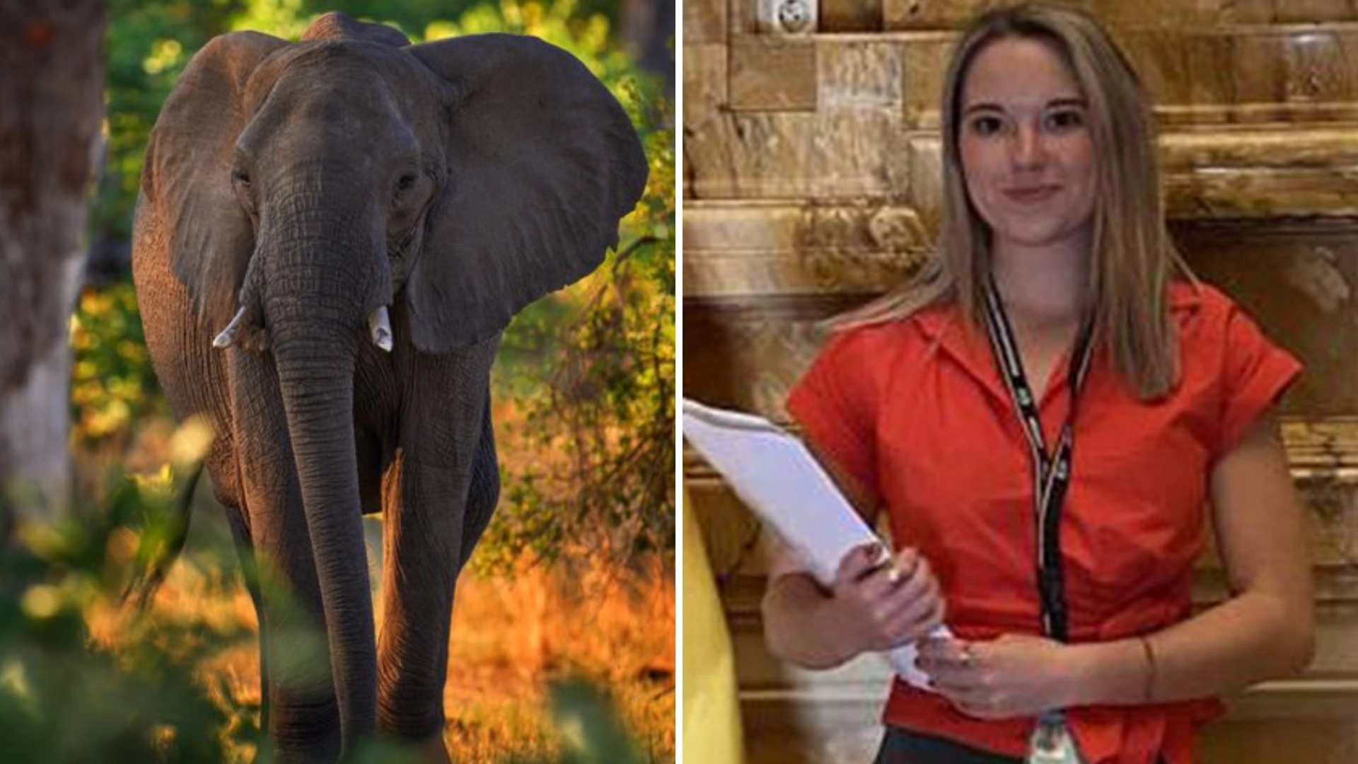 Thailand: 22-Year-Old Spanish Tourist Dies After Panic-Stricken Elephant Pierces Tusks Right In Front Of Her Boyfriend