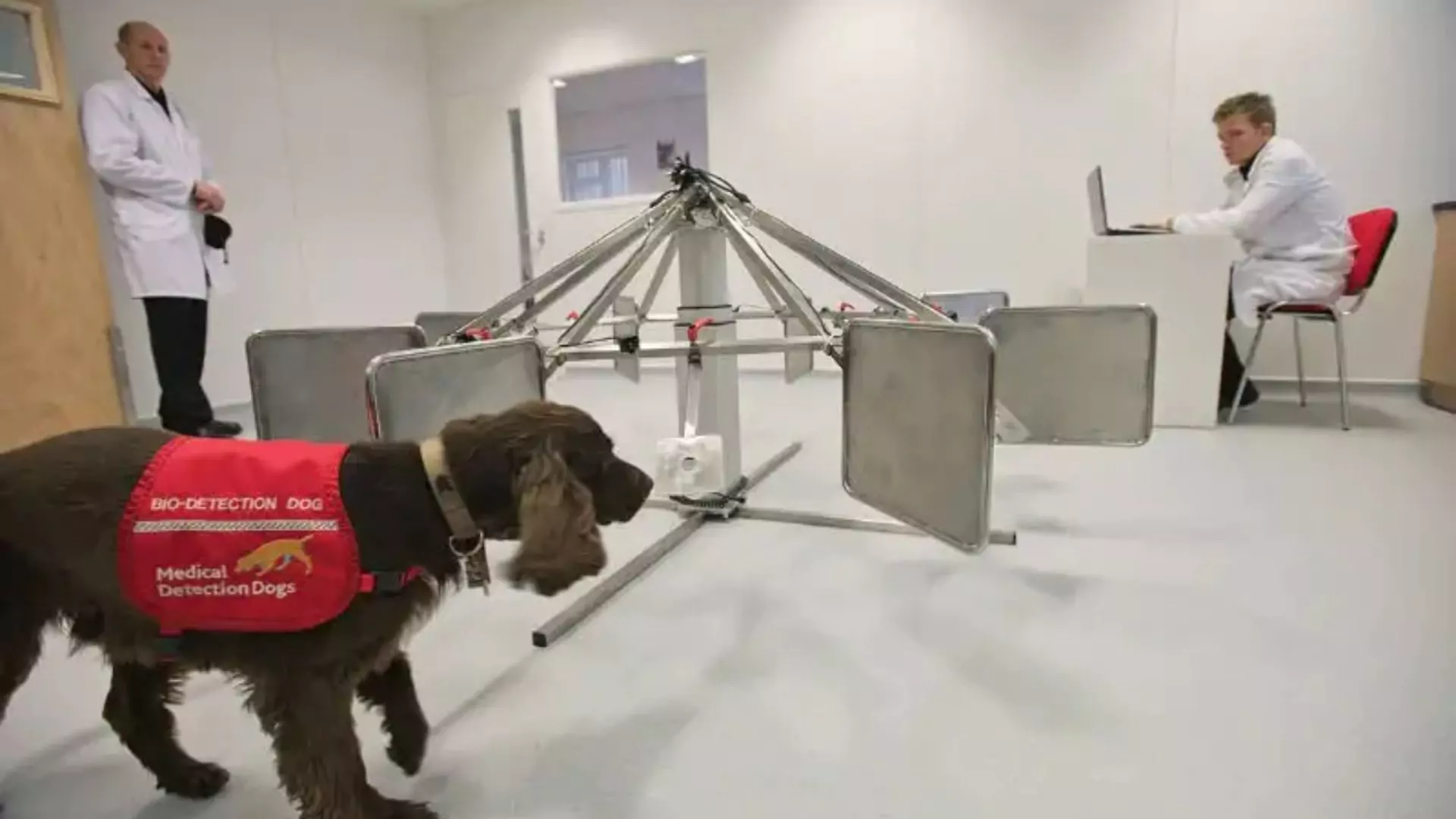 These Dogs Detect Early Stage Bowel Cancer, Know How