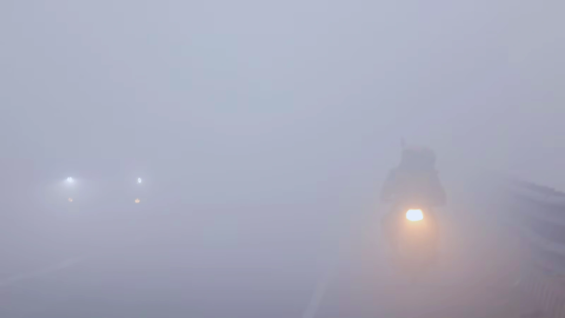 Delhi: How To Drive In Dense Fog? National Capital Wakes Up To Zero Visibility, Trains And Flights Impacted