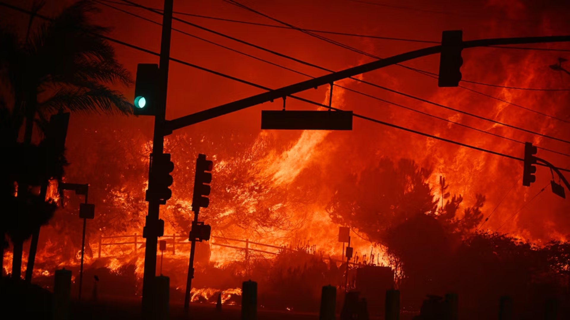 ‘Mismanagement Of Biden…’: Donald Trump Slams US President For LA Wildfires