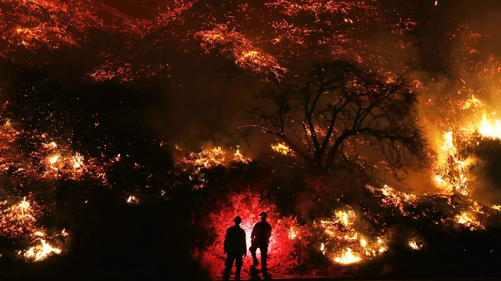 ‘Competence Matters’, Dr. Patrick Soon-Shiong Critisizes Local Officials For LA Wildfire