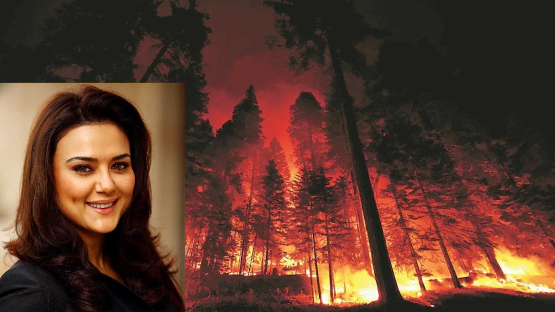 ‘I never thought I would live to see…’, Preity Zinta Mourns On The Devastation Due To Wildfires