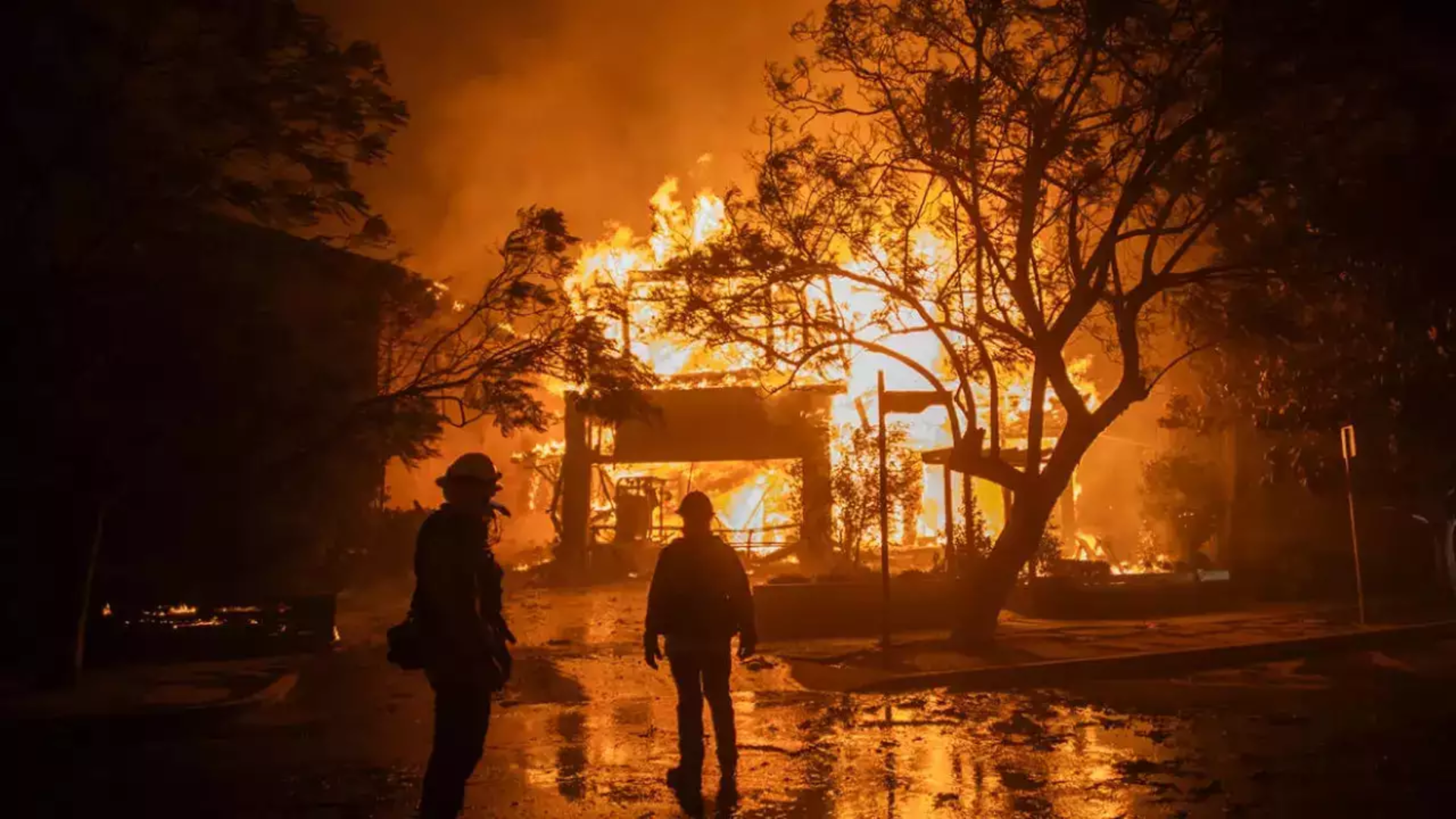 Uber, Airbnb, Lyft  Steps Forward To Help The Impacted Communities Amid Wildfires, Know How